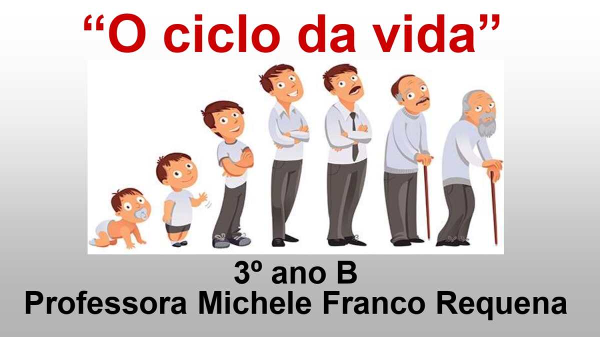 Quais São As Fases Do Ciclo Da Vida - BINKEDU